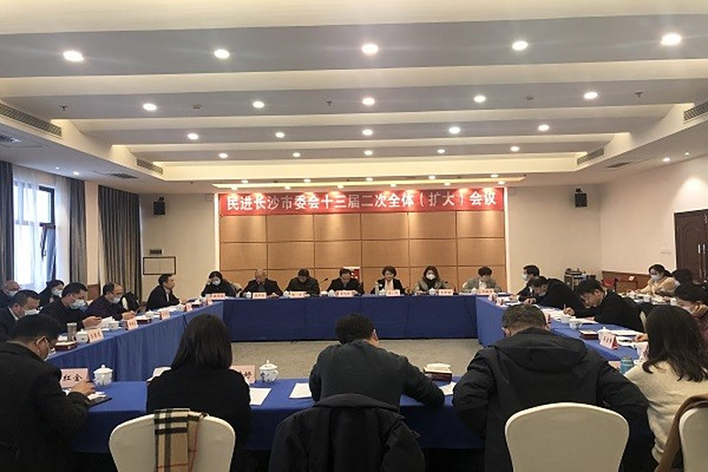 民进长沙市委会十三届二次全体（扩大）会议召开