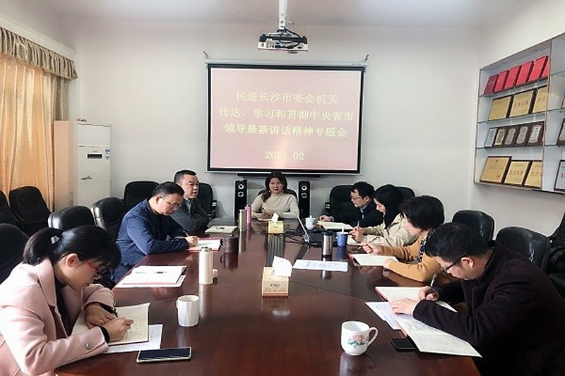 及时学习 迅速行动 ——民进长沙市委会认真贯彻“新春第一访”省市领导重要讲话精神