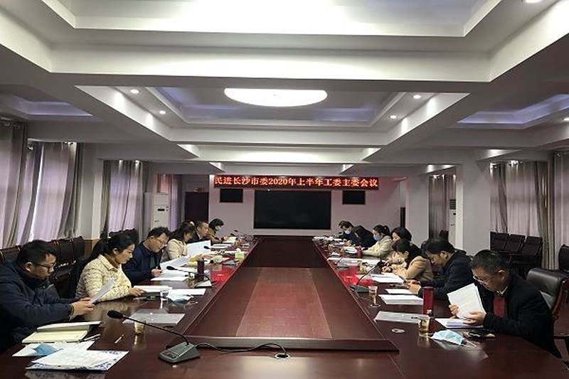 民进长沙市委召开2020年上半年工委主委会议