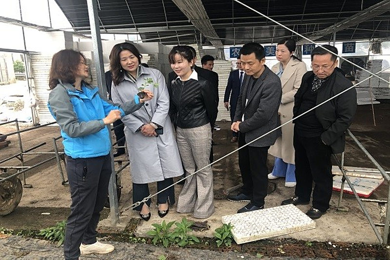 长沙民进经联会开展2021年走访会员企业暨第一次主题沙龙活动