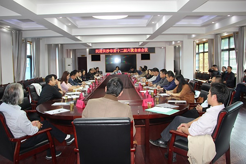 民进长沙市第十二届委员会监督委员会成立