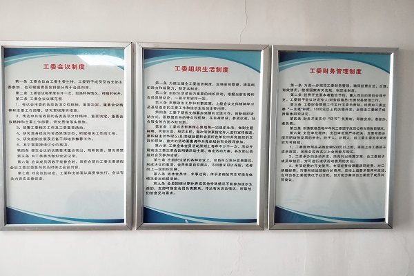 强基固本活力迸发 辛勤耕耘成果丰硕——民