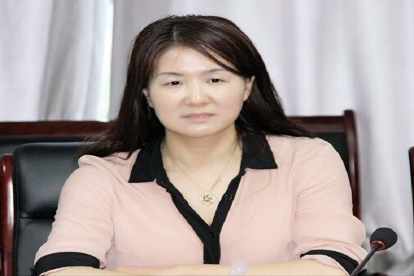 进长沙市委召开2018年二季度工委主委会