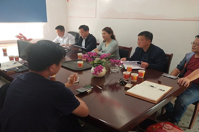 李素娥赴山园村走访调研——带着感情和责任做好“同心美丽乡村”建设
