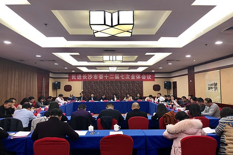民进长沙市委十二届七次全会召开