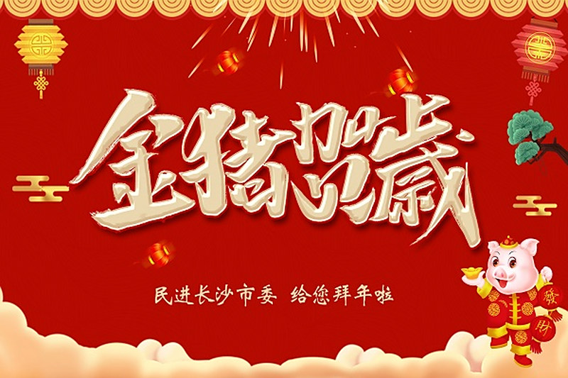 民进长沙市委给全市民进会员拜年啦！