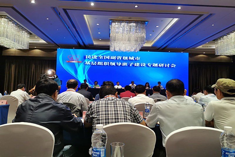 李素娥受邀参加民进全国副省级城市基层组织领导班子建设专题研讨会