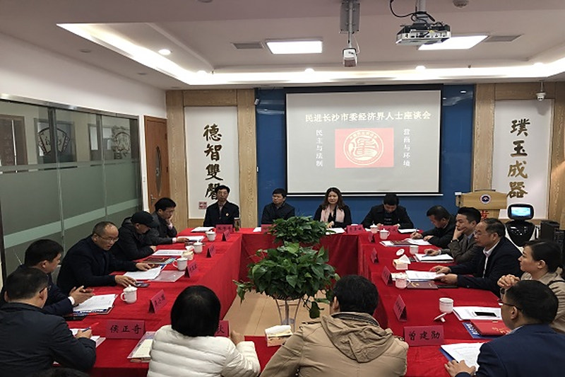 民进长沙市委经济界人士座谈会召开