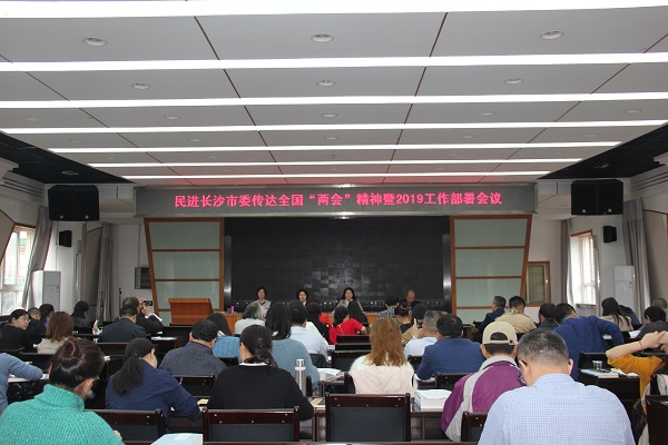 民进长沙市委召开传达全国“两会”精神暨2