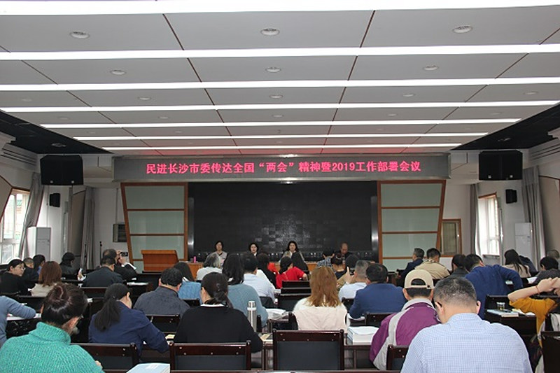 民进长沙市委召开传达全国“两会”精神暨2019年工作部署会议