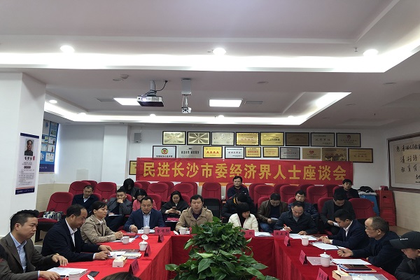 民进长沙市委经济界人士座谈会召开2
