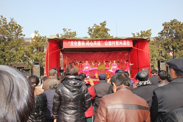 “大爱民进—情系山园村”社会服务活动隆重