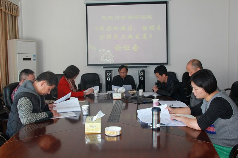 民进长沙市委召开“做好加减法，助推长沙绿色工业发展”课题论证会