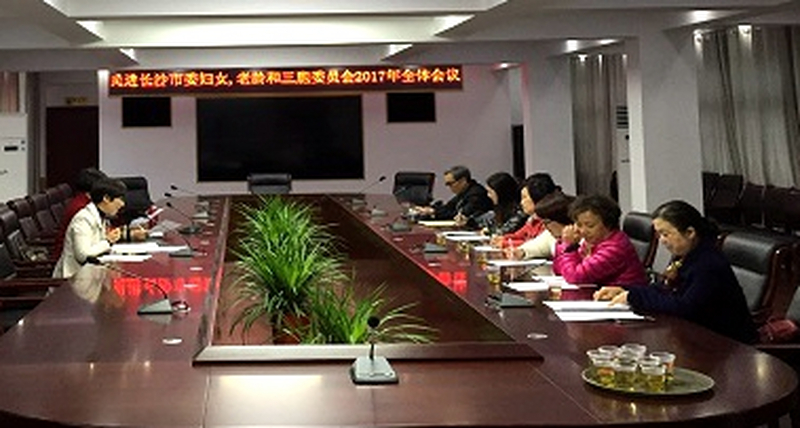 民进长沙市委妇女、老龄和三胞委员会2017年全体会议召开