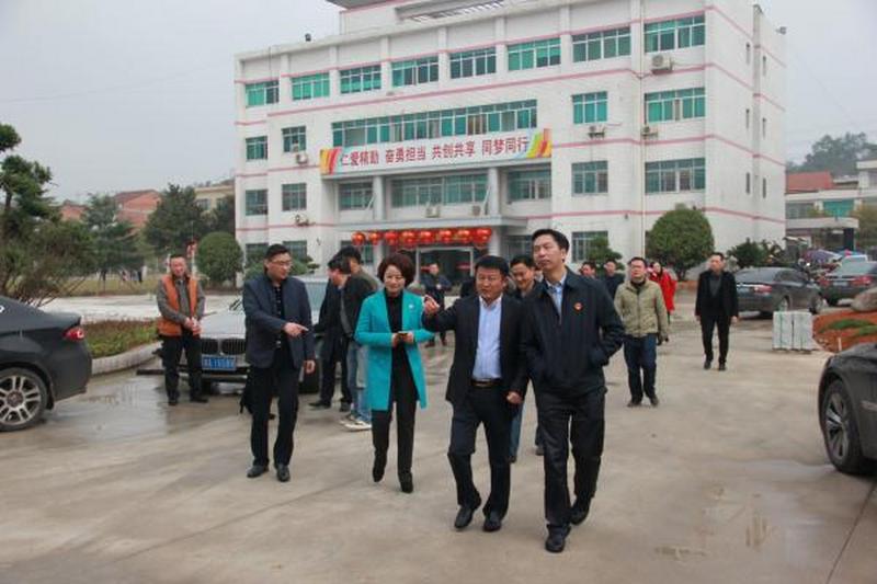 长沙民进经济界人士联谊会企业家考察宁乡重点镇产业发展