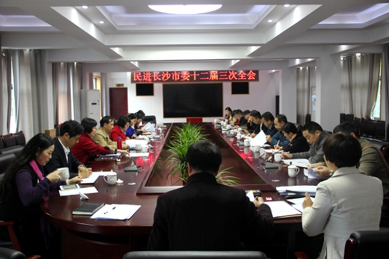 民进长沙市委召开十二届三次全会