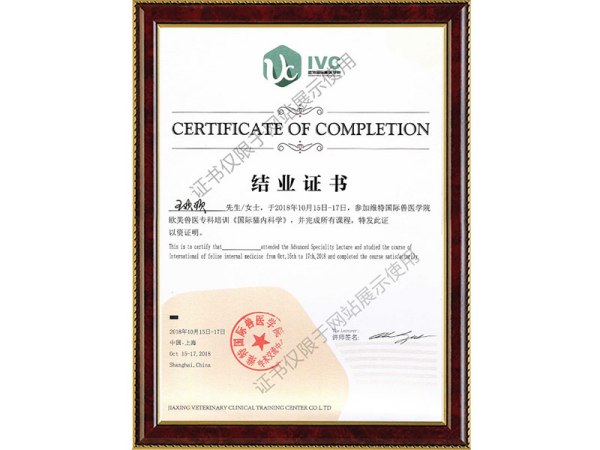 《国际猫内科学》培训证书