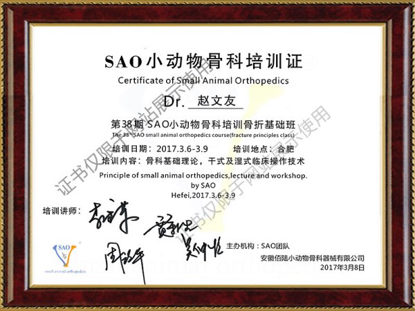 第38期SAO小动物骨科培训骨折基础班证书
