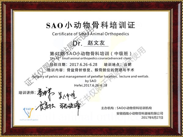 第41期SAO小动物骨科培训（中级班）证书