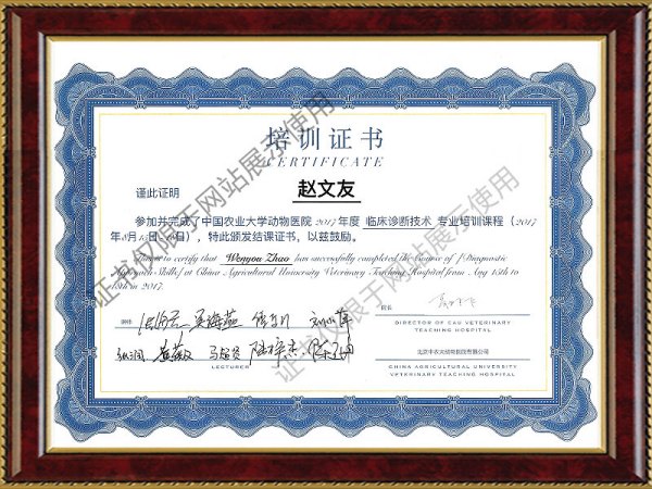 2017年度临床诊断技术专业培训课程证书