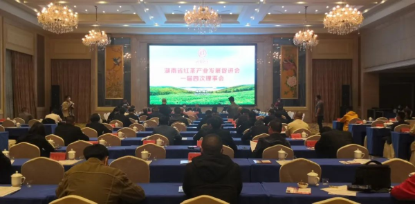 图片 8