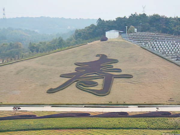 “寿”字模纹占地面积900平方米