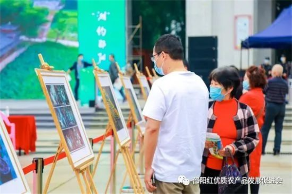 图片 22