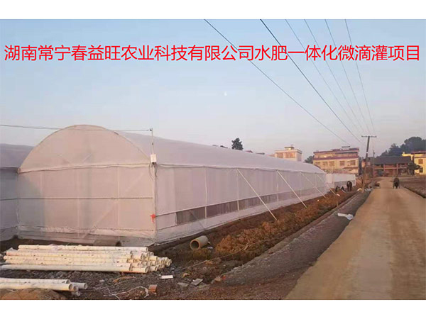 湖南常宁春益旺农业科技有限公司水肥一体化微滴灌项目