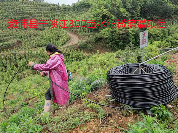 溆浦县干溪江300亩水肥微滴灌项目