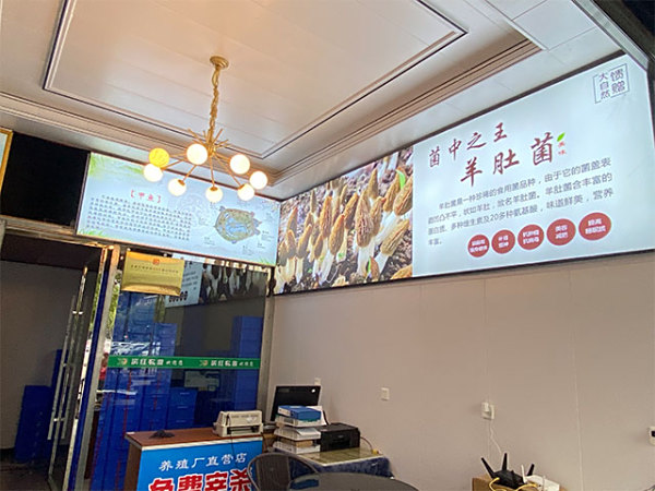 门店展示