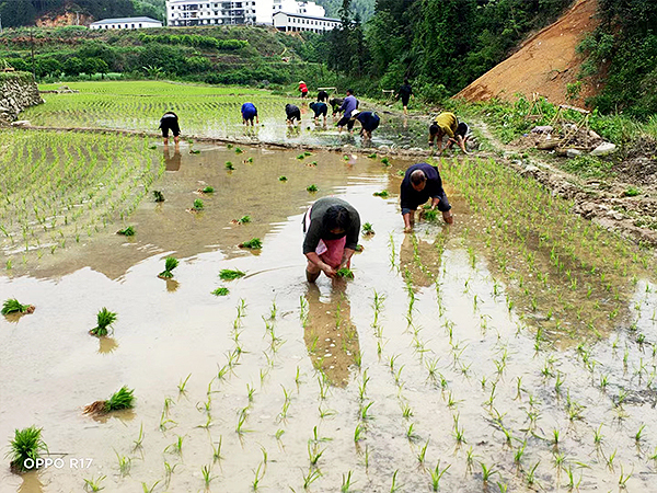 饮水思源回报社会 致富不忘造福桑梓