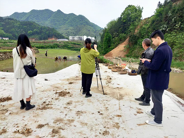 未来发展绿色生态养殖业的趋势与前景！