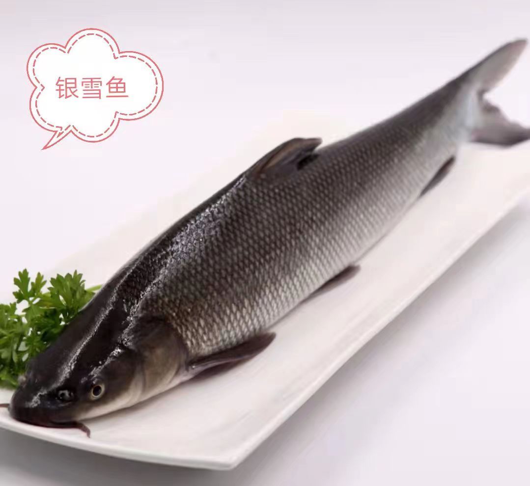 银鳕鱼：20元/斤