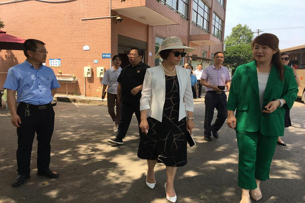 民进湖南省委会、长沙市委会赴跳马镇关刀新