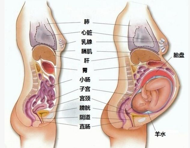 微信图片_20220613155147