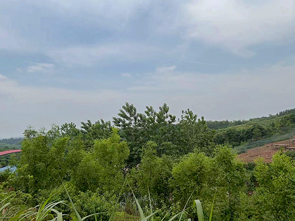 养殖基地
