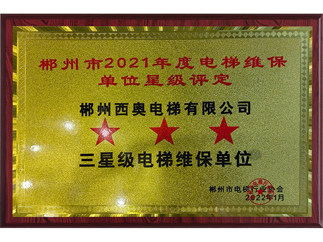 郴州市2021年度電梯維保三星級電梯維保