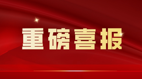 喜报！新领航检测电气间隙与爬电距离测试测量审核获满意结果