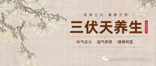最实用的养生知识来了！四招教你搞定“三伏天”