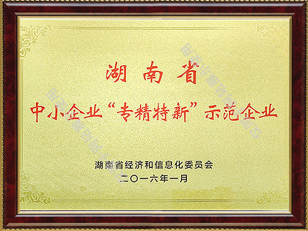 湖南省中小企业“专精特新”示范企业