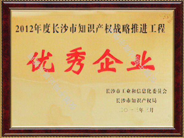 2012年度长沙市中小企业知识产权战略推进工程优秀企业