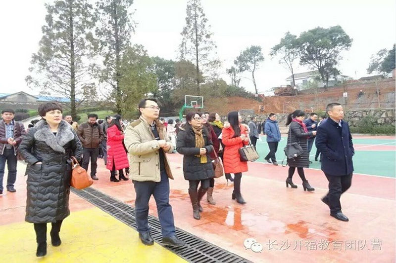 开福区部分民进政协委员视察“美丽校园”建设