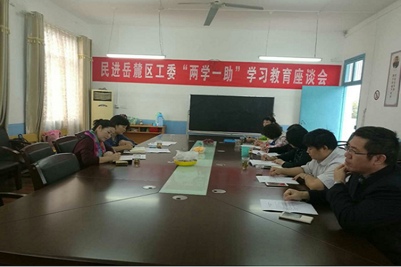 民进岳麓区工委召开“两学一助”学习教育座谈会
