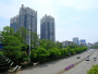 都市绿洲