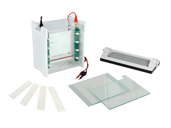 垂直电泳槽JY-SCZ6+