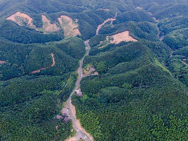 醴北人家北部旅游公路提质改造工程2