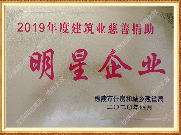 慈善捐助明星企業