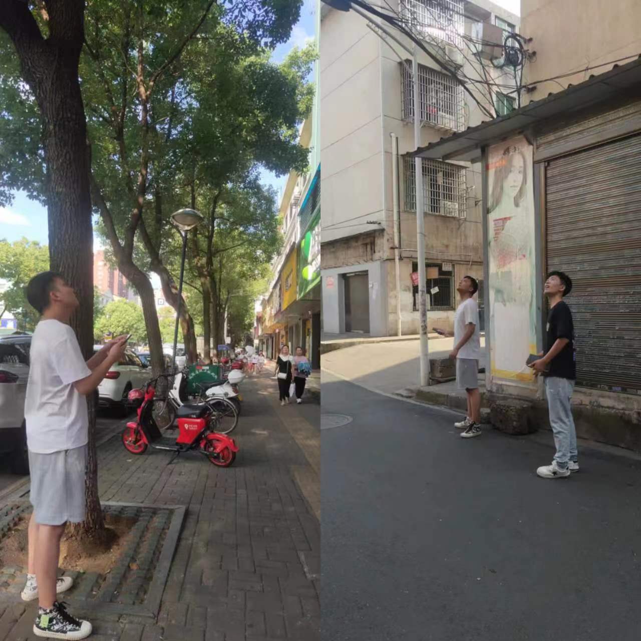 自建房排查3