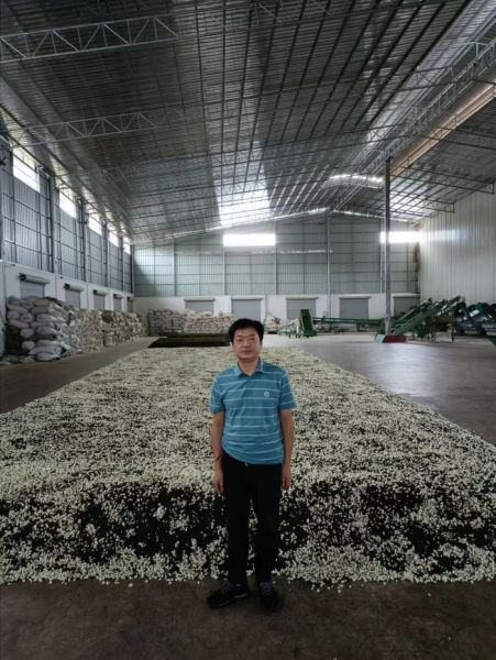 2022年8月，总经理谭洪波深入中国“茉莉花之都”广西横州市，调研茉莉鲜花市场并参加茉莉花茶的制作