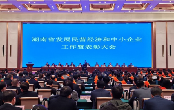 我司荣获湖南省发展民营经济和中小企业先进单位